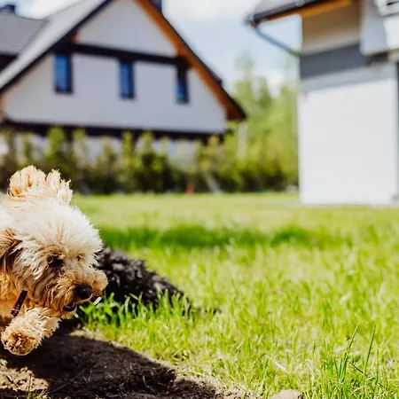 Apartmán Cristalview Stay&relax - Darmowe Zewnetrzne Jacuzzi, Zwierzeta Akceptowane - Na Ferie Zimowe 2026 Obowiazuje Promocja 4 Doby W Cenie 3 Bez Wyzywienia