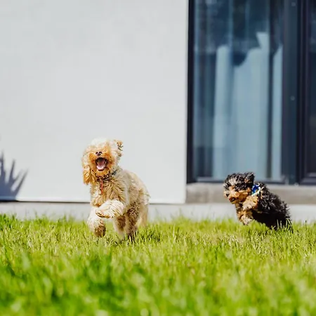 Apartman Cristalview Stay&relax - Darmowe Zewnetrzne Jacuzzi, Zwierzeta Akceptowane - Na Ferie Zimowe 2026 Obowiazuje Promocja 4 Doby W Cenie 3 Bez Wyzywienia *