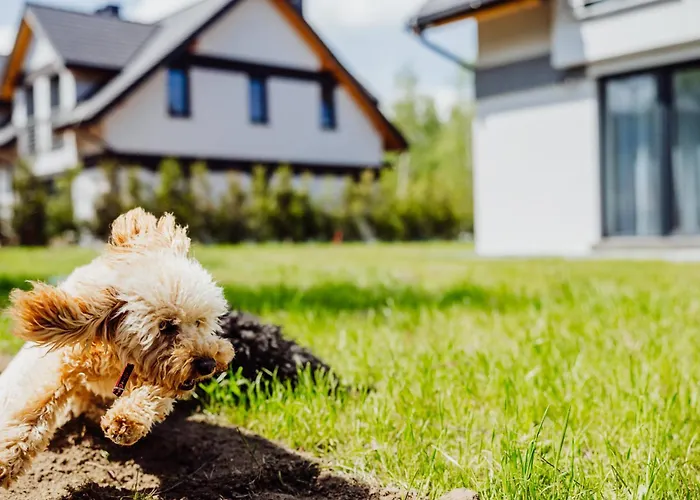 Appartamento Cristalview Stay&relax - Darmowe Zewnetrzne Jacuzzi, Zwierzeta Akceptowane - W Marcu I Kwietniu Zarezerwuj 3 Doby W Cenie 2 Bez Wyzywienia