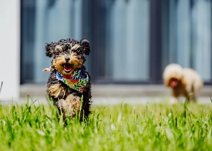 Cristalview Stay&relax - Darmowe Zewnetrzne Jacuzzi, Zwierzeta Akceptowane - W Marcu I Kwietniu Zarezerwuj 3 Doby W Cenie 2 Bez Wyzywienia Appartamento *