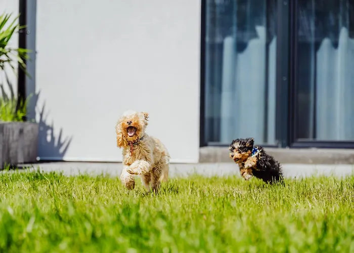 Appartamento Cristalview Stay&relax - Darmowe Zewnetrzne Jacuzzi, Zwierzeta Akceptowane - W Marcu I Kwietniu Zarezerwuj 3 Doby W Cenie 2 Bez Wyzywienia *