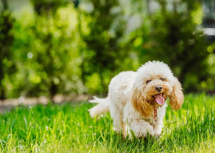 Appartamento Cristalview Stay&relax - Darmowe Zewnetrzne Jacuzzi, Zwierzeta Akceptowane - W Marcu I Kwietniu Zarezerwuj 3 Doby W Cenie 2 Bez Wyzywienia